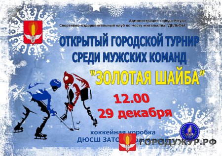 Хоккейный турнир ЗОЛОТАЯ ШАЙБА