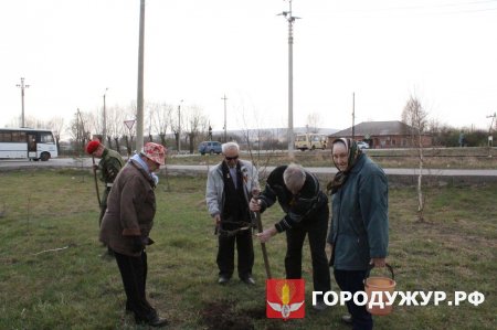 Администрация Ужура приняла участие акции "Сад памяти"